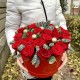 Cutie 25 trandafiri rosii Red Roses