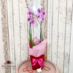 Aranjament floral Orhidee