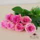 Buchet 7 trandafiri roz