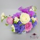 Cutie flori Hydrangea CTF012